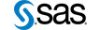 logo sas.jpg